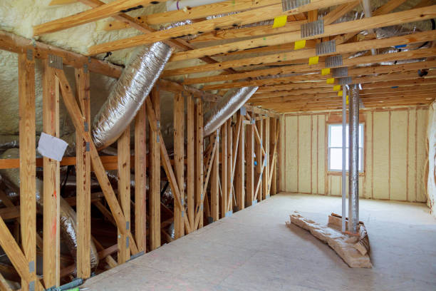 Best Insulation Removal  in Ste Genevieve, MO