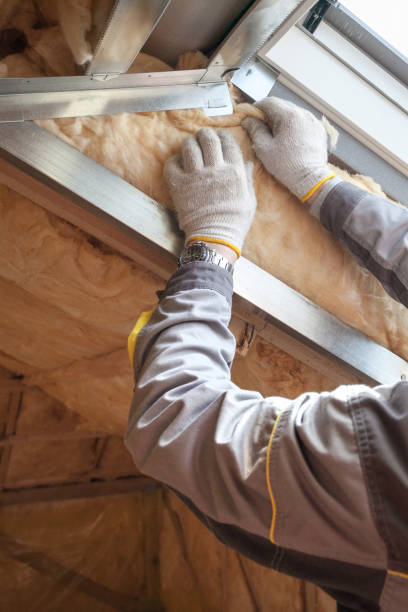 Best Insulation Contractor Near Me  in Ste Genevieve, MO