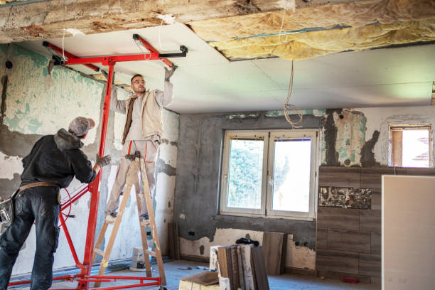 Best Cellulose Insulation  in Ste Genevieve, MO