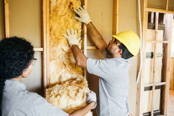 Best Spray Foam Insulation  in Ste Genevieve, MO