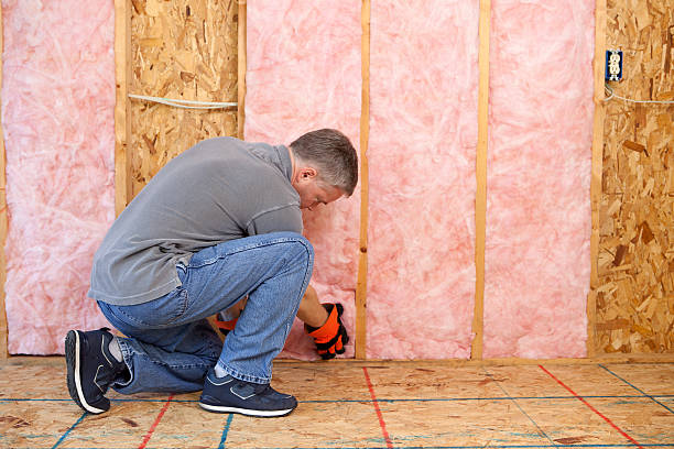Best Energy-efficient Insulation  in Ste Genevieve, MO