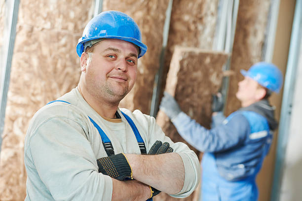 Best Attic Insulation Installation  in Ste Genevieve, MO