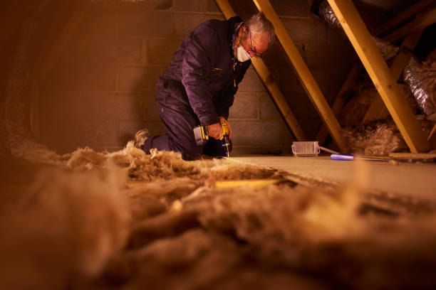 Best Spray Foam Insulation  in Ste Genevieve, MO